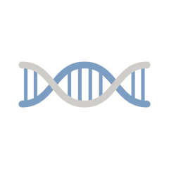 Matrixyl® Morphomics™